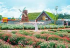 mùa nào đẹp để du lịch Đà Lạt